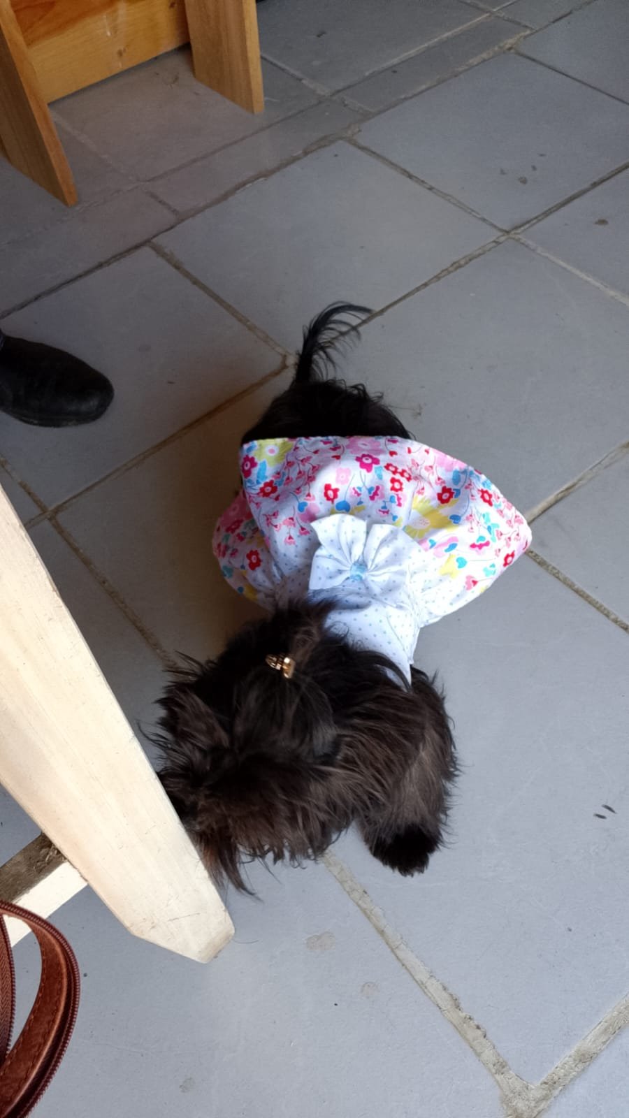 Bolso de Mano