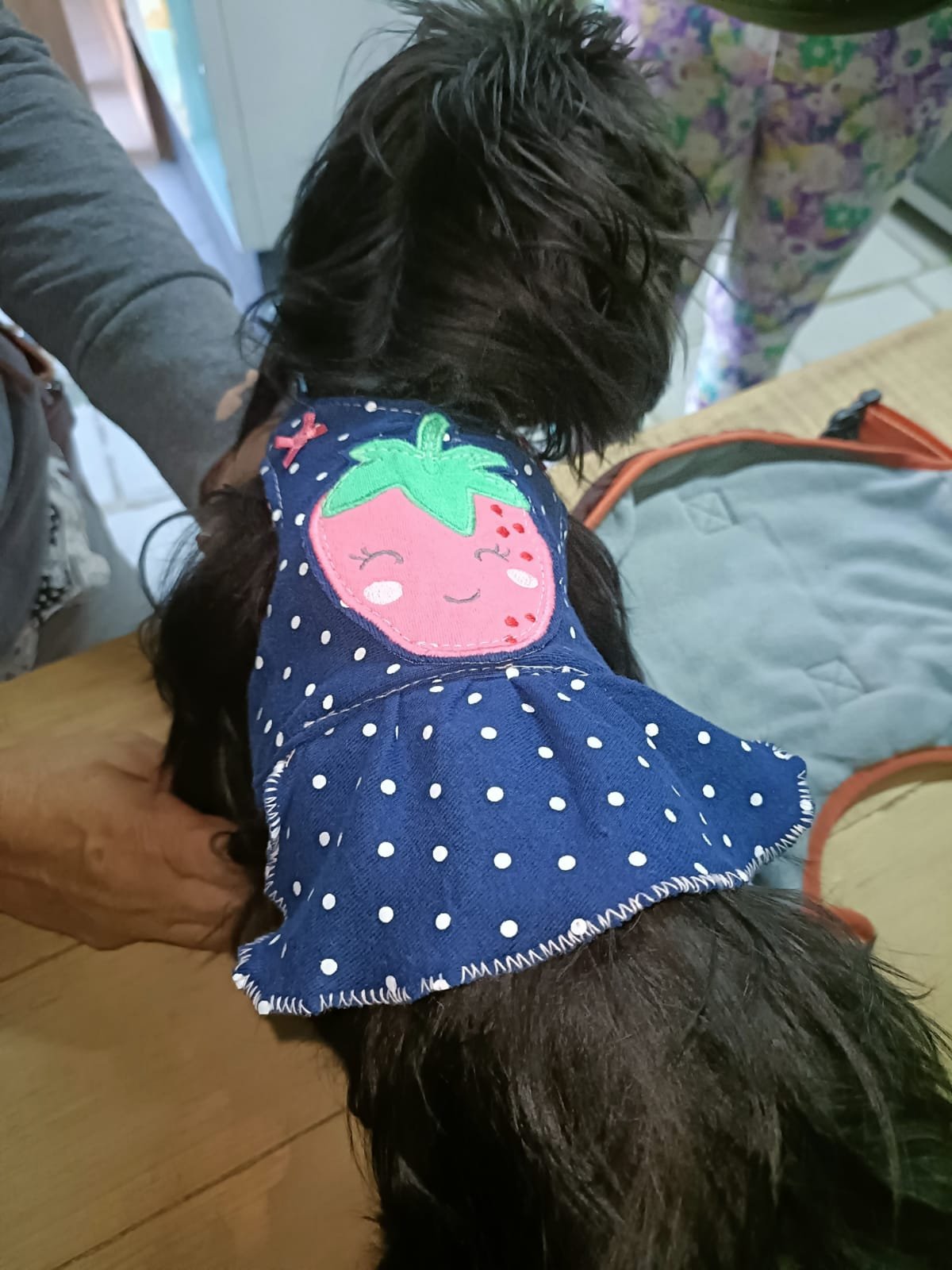 Collar Minimalista
